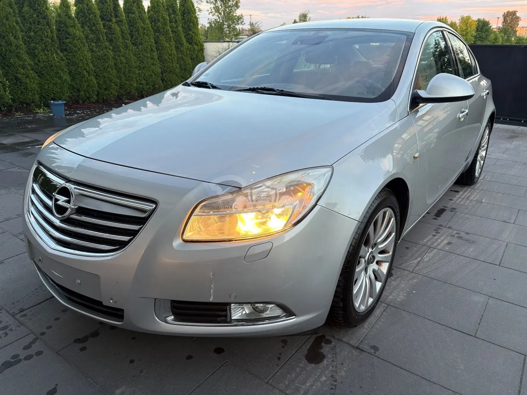 Opel Insignia A (2008-2017) 2009