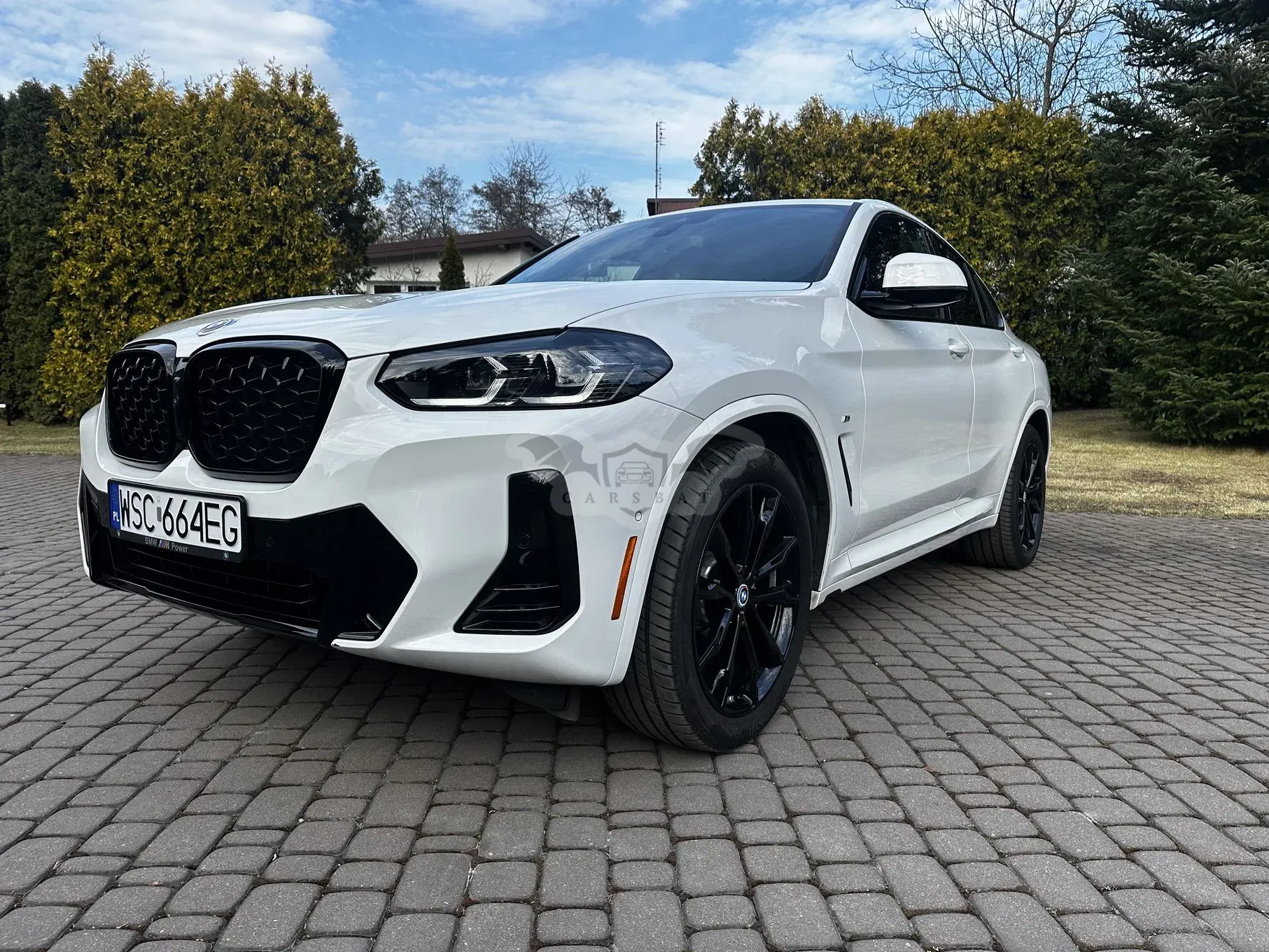 BMW X4 G02 (2018-) xDrive30i mHEV M Sport sport 2023