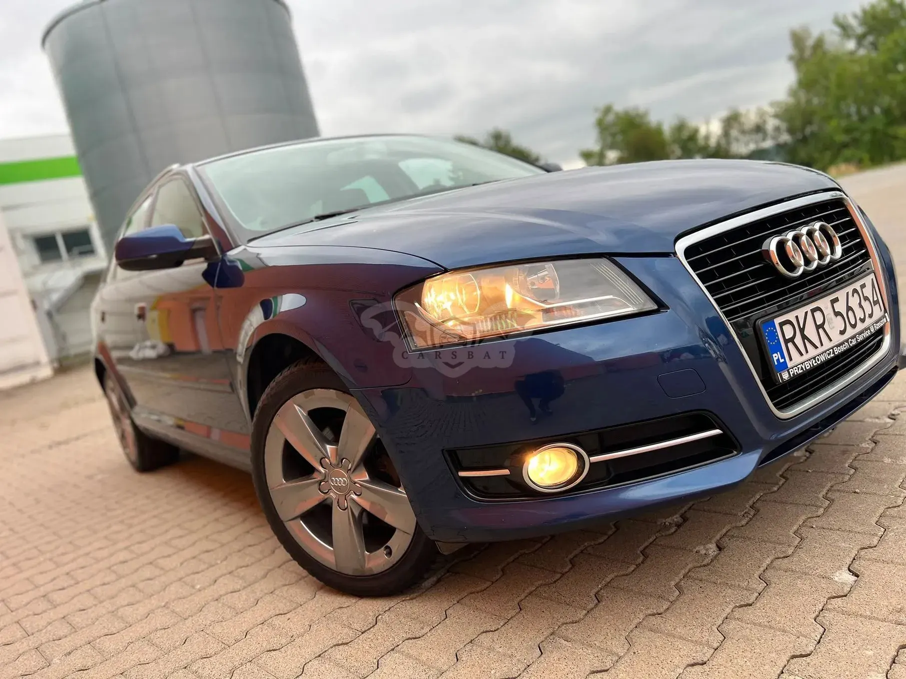 Audi A3 8P (2003-2012) 2010
