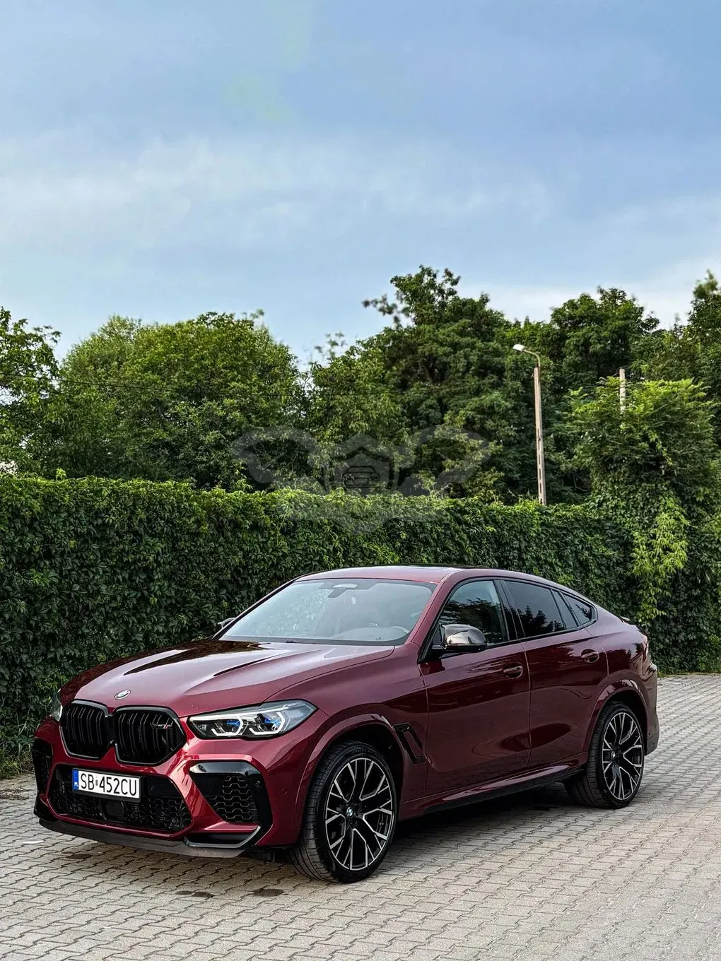 BMW X6 G06 (2019-) 2021