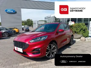 Ford Kuga III (2019 - ) 2.0 EcoBlue AWD ST-Line X 2022