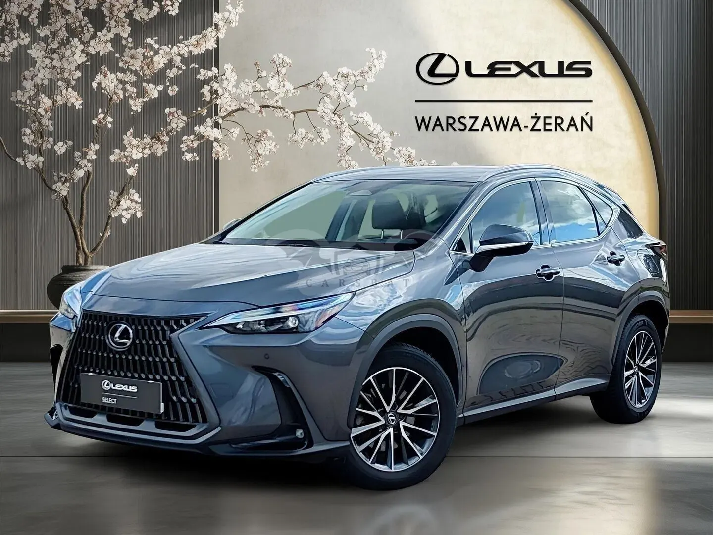 Lexus NX II (2021-) 350h Elegance 2WD 2024