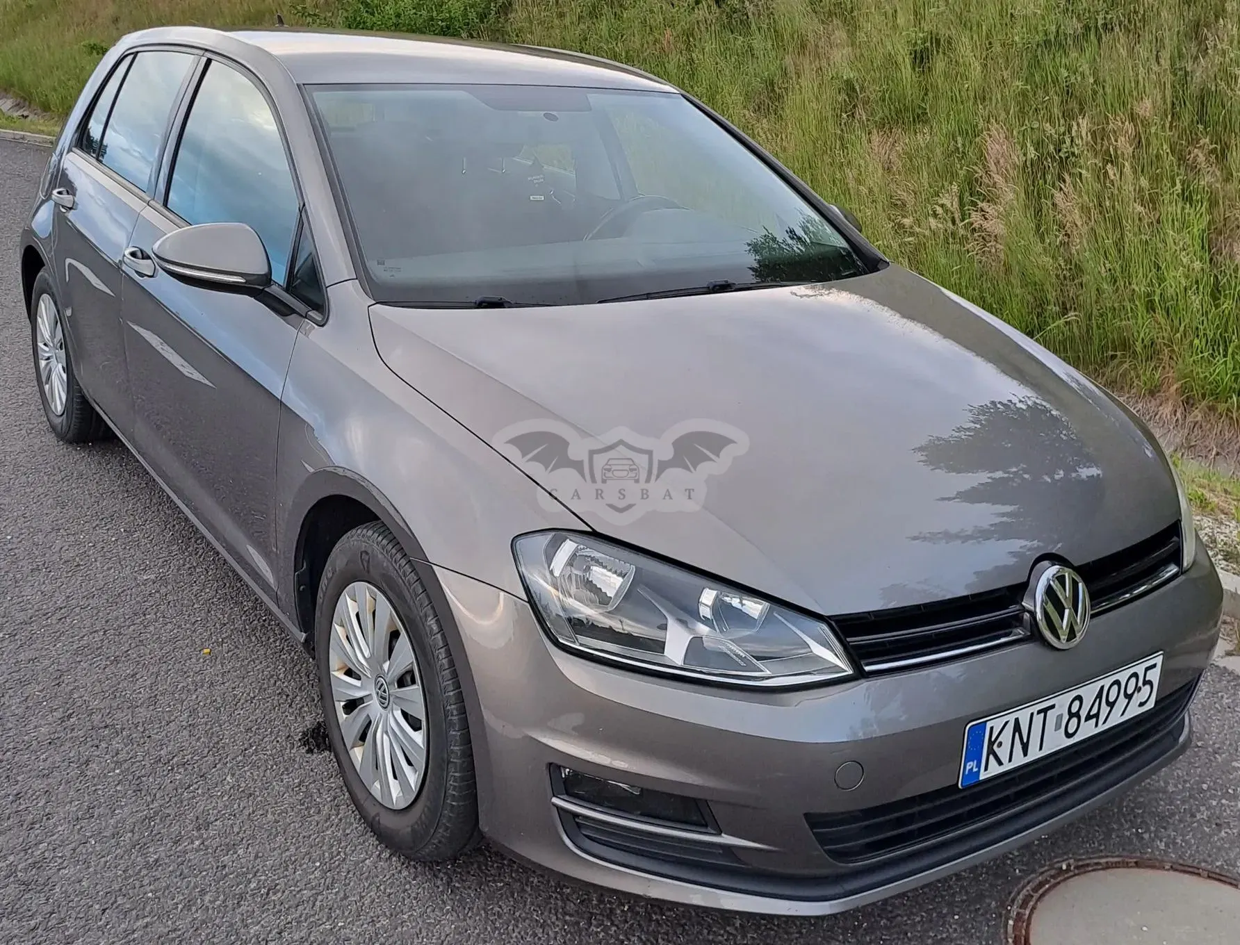 Volkswagen Golf VII (2012-2020) 1.6 TDI BlueMotion Trendline 2016