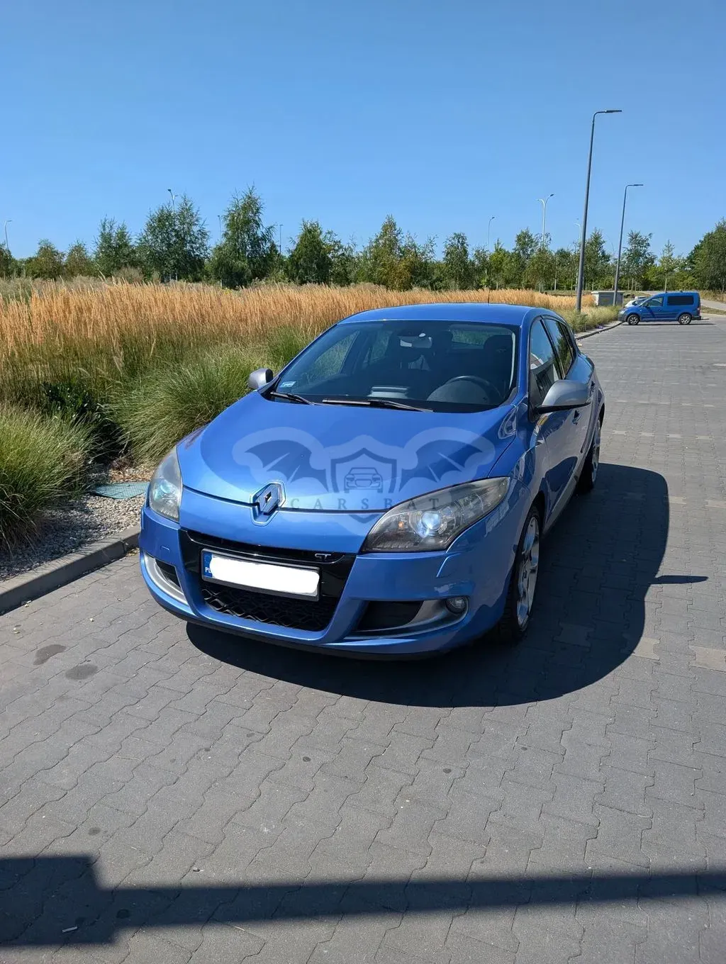 Renault Megane III (2008-2016) 2.0 16V TCE Privilege 2011