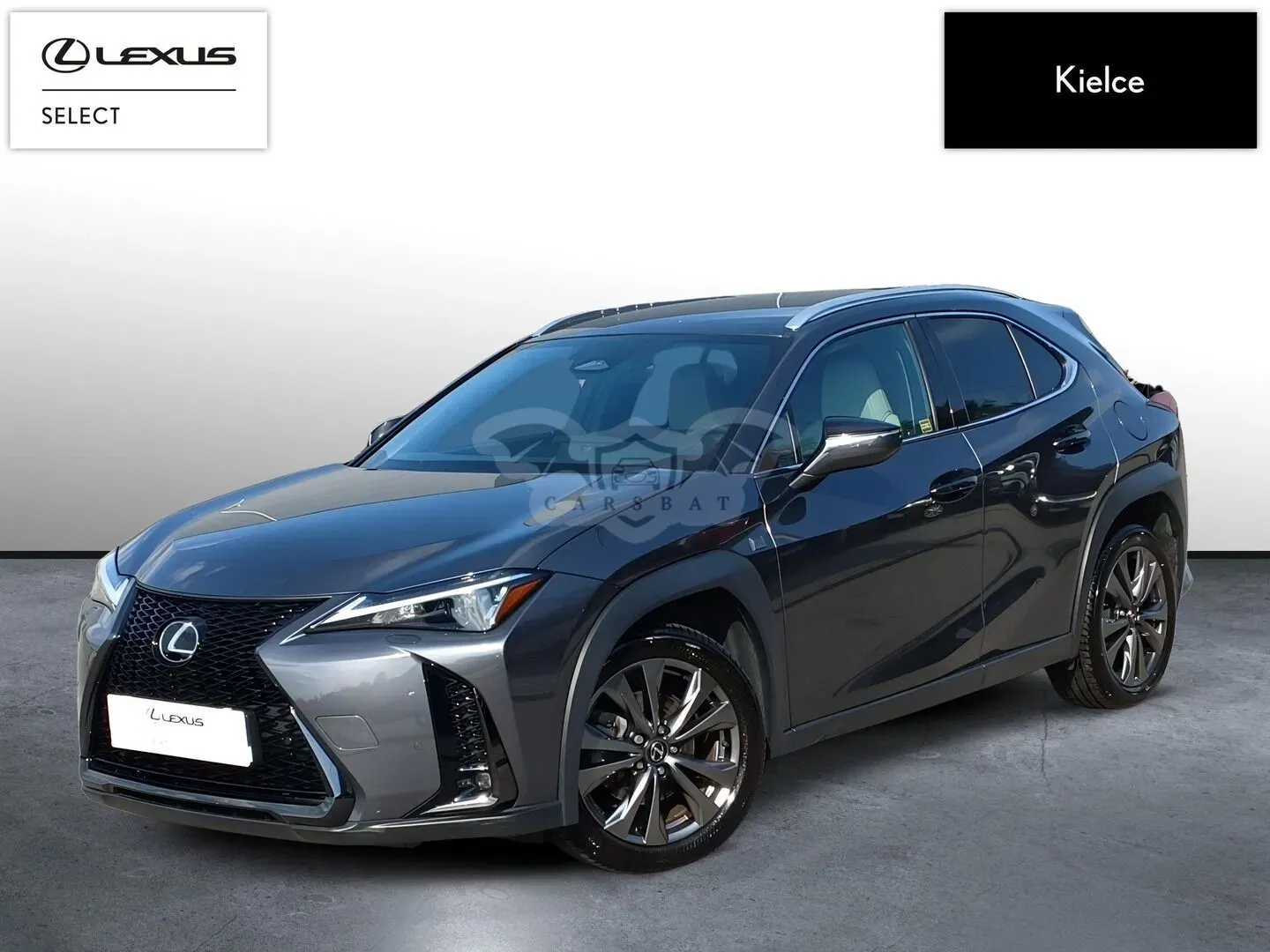 Lexus UX 300h F Sport Design AWD 2024