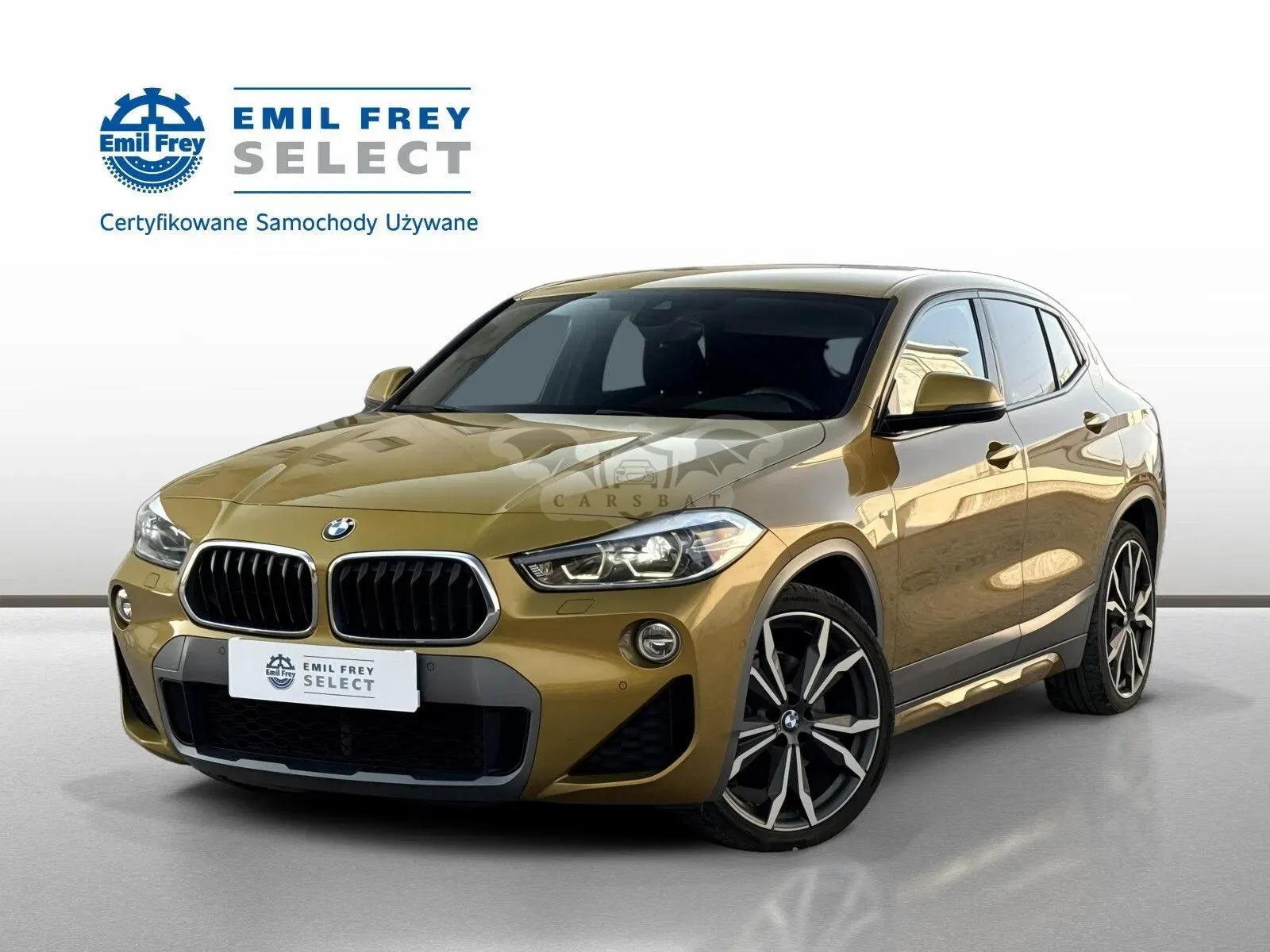 BMW X2 F39 (2017-2023) 2017