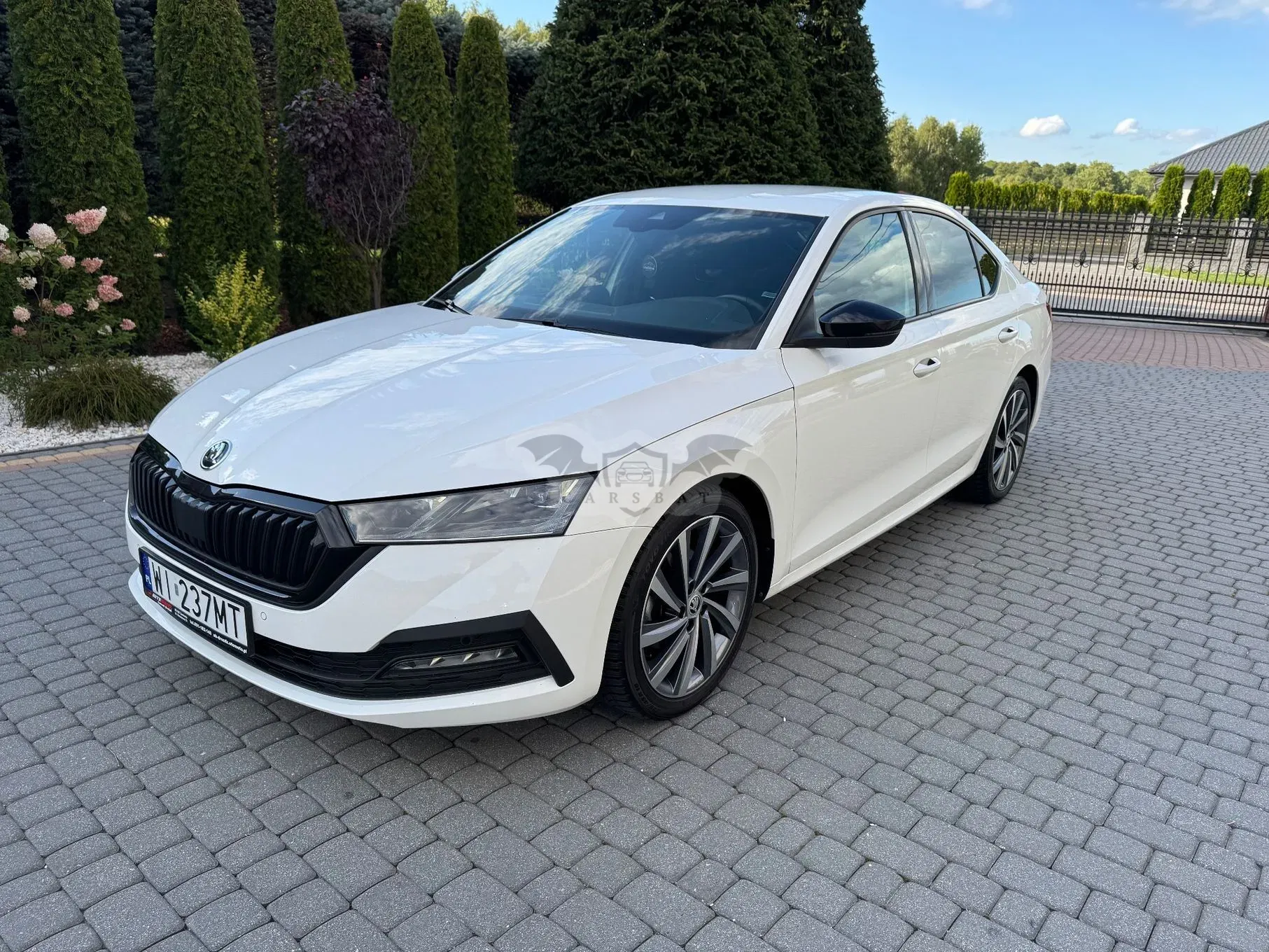 Skoda Octavia IV (2020-) 1.5 TSI e-Tec Style DSG 2023