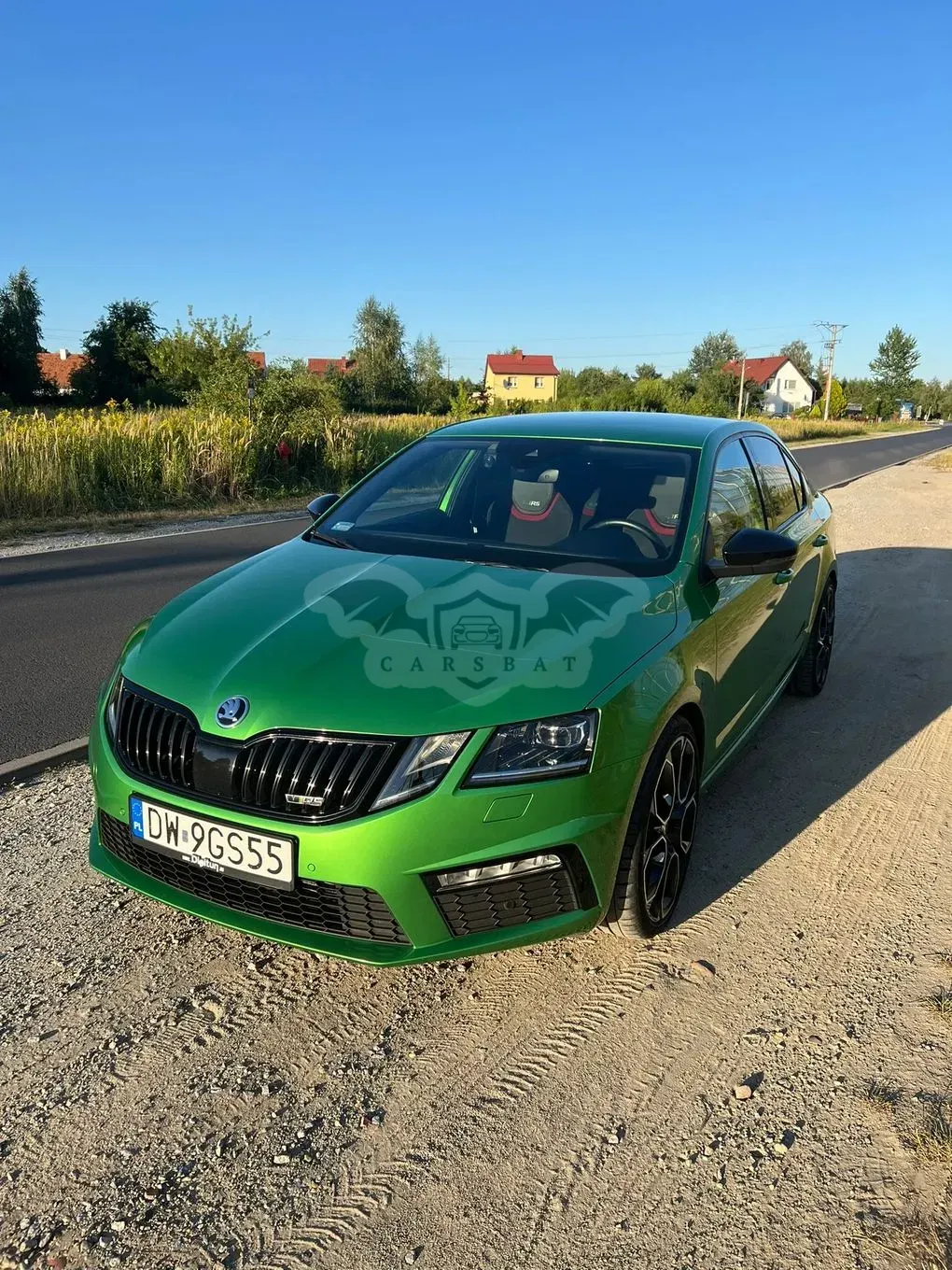 Skoda Octavia III (2013-) 2.0 TSI RS Challenge 245 DSG 2019