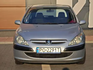 Peugeot 307 I (2001-2005) 1.6 Mistral 2004