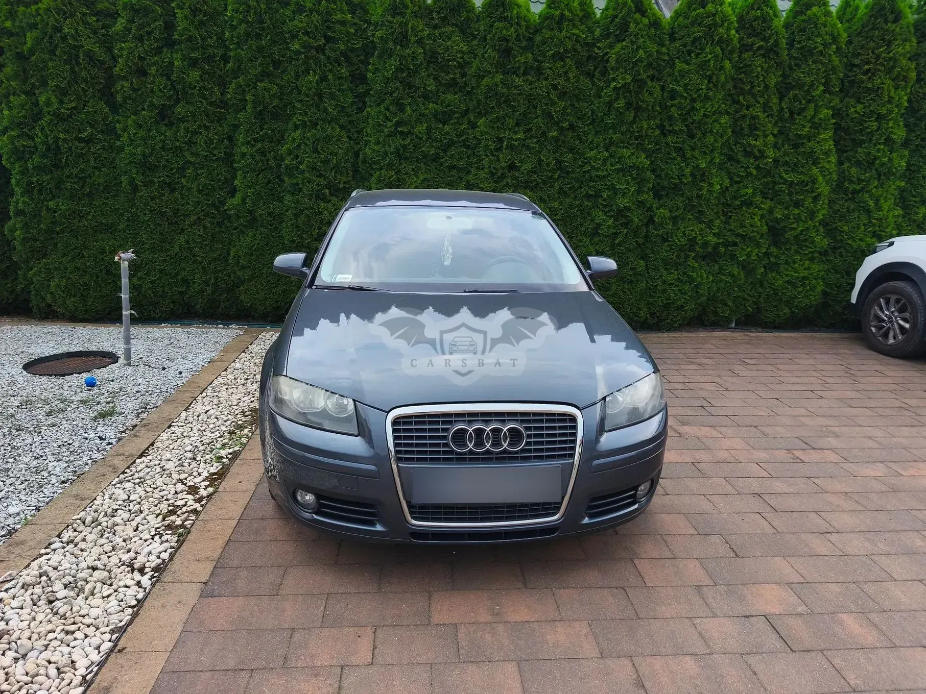 Audi A3 8P (2003-2012) 1.9 TDI Ambiente 2007