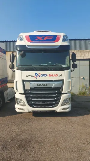 DAF XF 2019