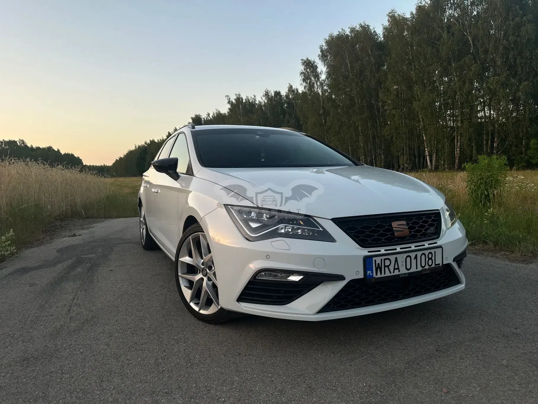 Seat Leon III (2012-) 2.0 TSI Start&Stop DSG Cupra 300 2018