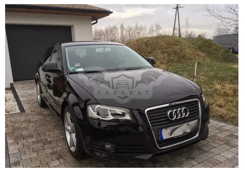 Audi A3 8P (2003-2012) 2009
