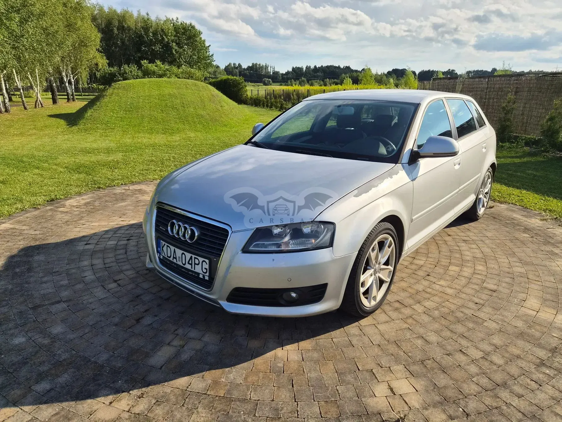 Audi A3 8P (2003-2012) 2.0 TFSI Quattro Ambition S tronic 2008