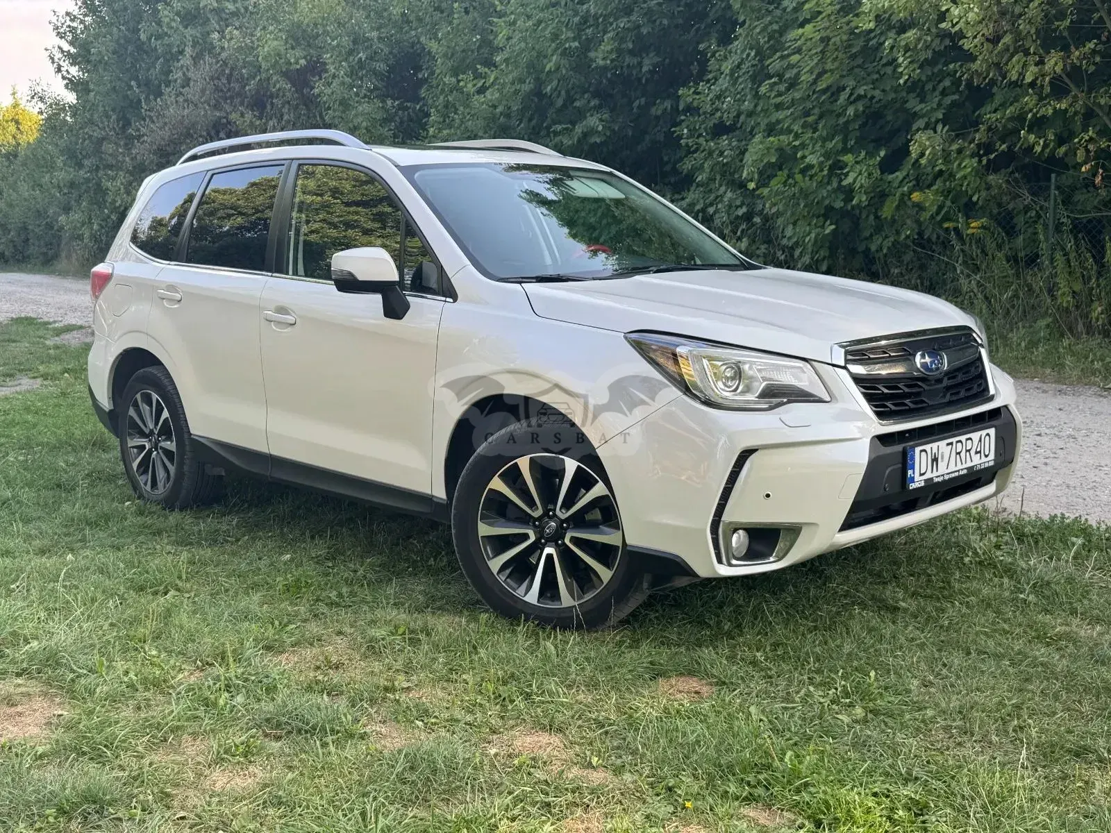 Subaru Forester IV (2013-2018) 2.0 XT Platinum Lineartronic 2016