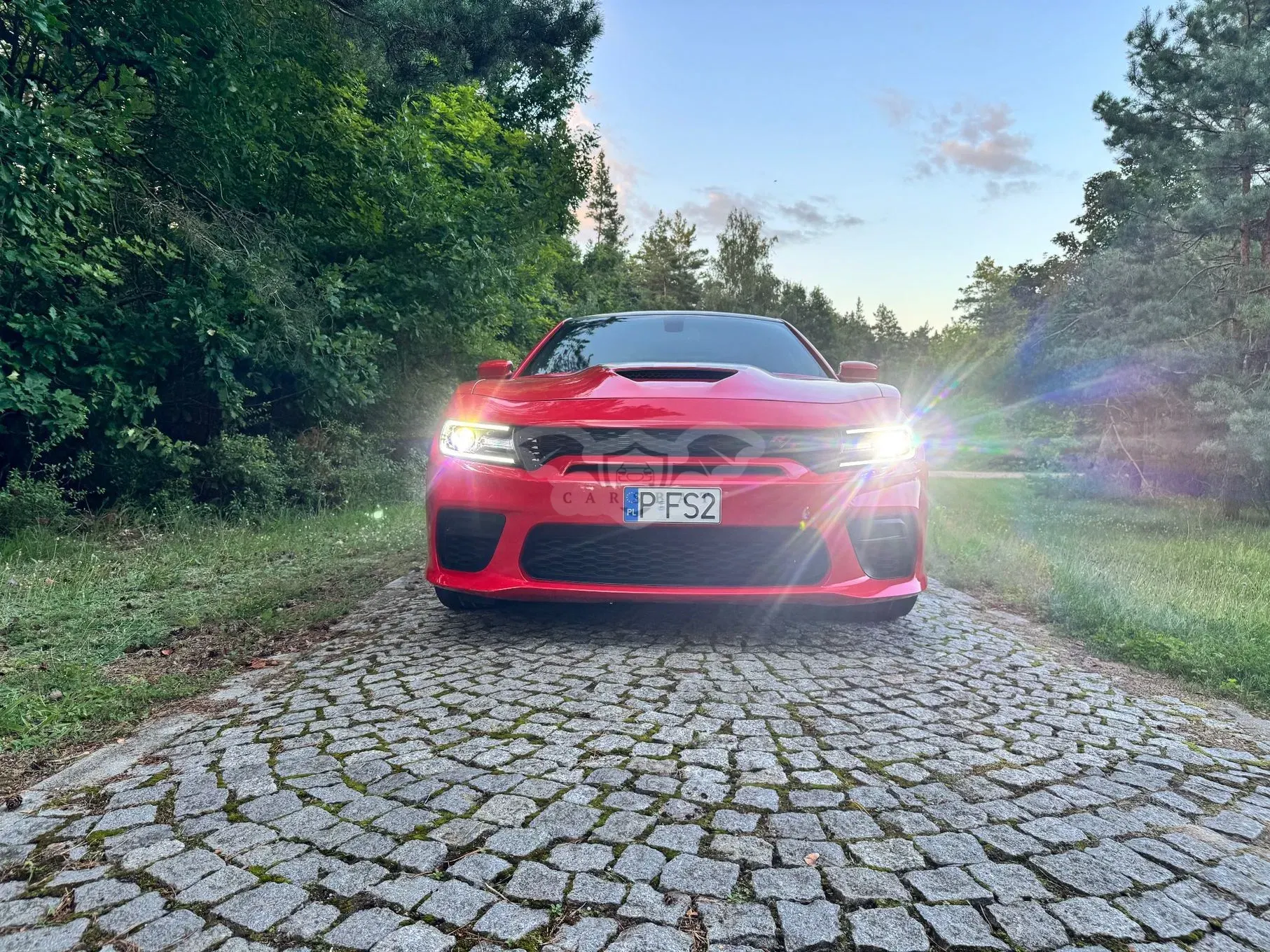Dodge Charger 2017