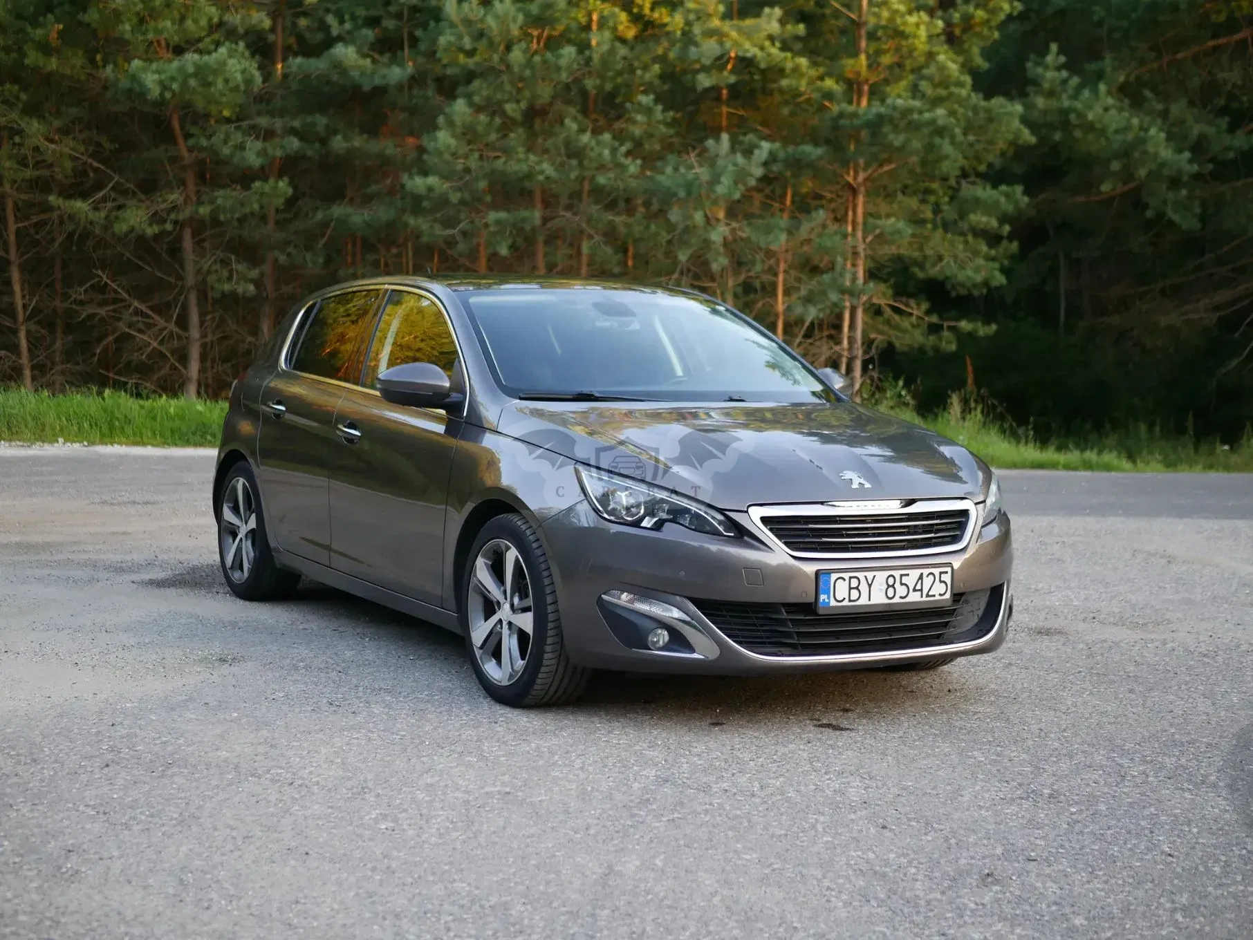 Peugeot 308 T9 (2014-2021) 1.6 e-HDi Allure S&S 2013