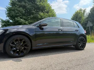 Volkswagen Golf VII (2012-2020) 1.6 TDI BlueMotion Trendline 2016