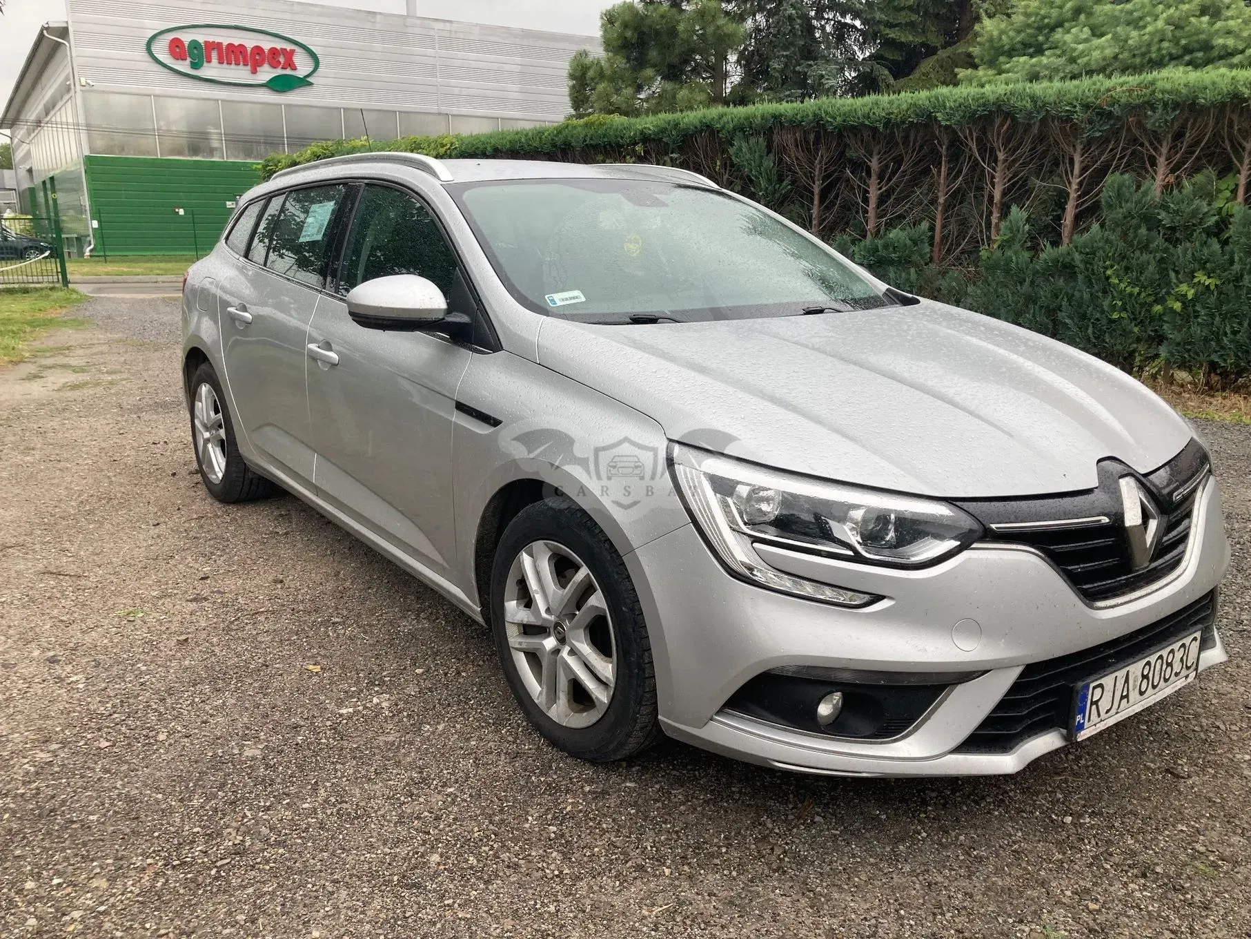 Renault Megane IV (2016-) 2020