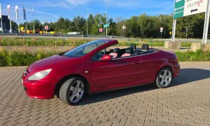 Peugeot 307 I (2001-2005) 2.0 Sporty 2004