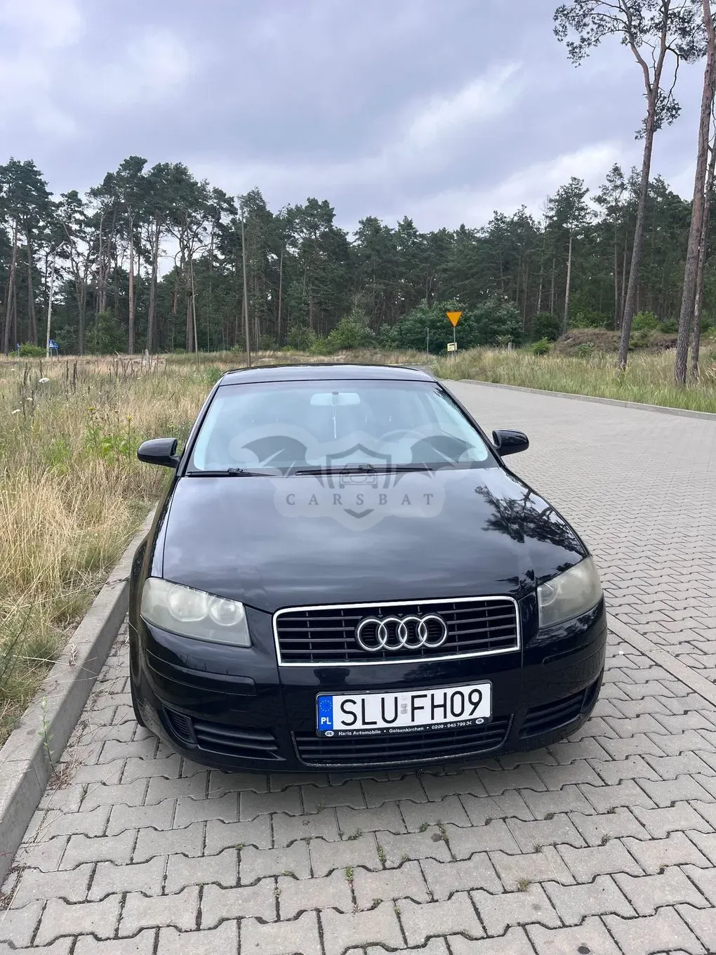 Audi A3 8P (2003-2012) 1.6 FSI Ambiente 2004