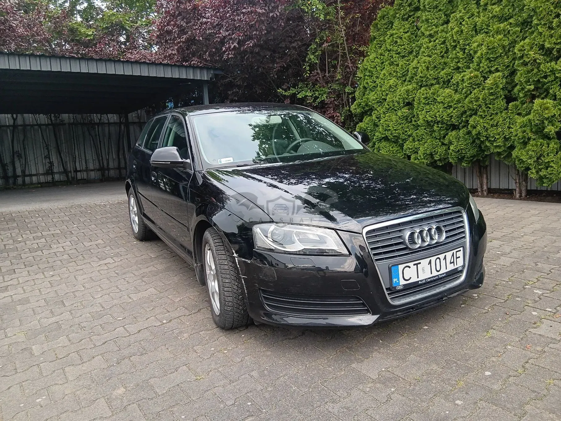 Audi A3 8P (2003-2012) 1.6 Ambition 2009