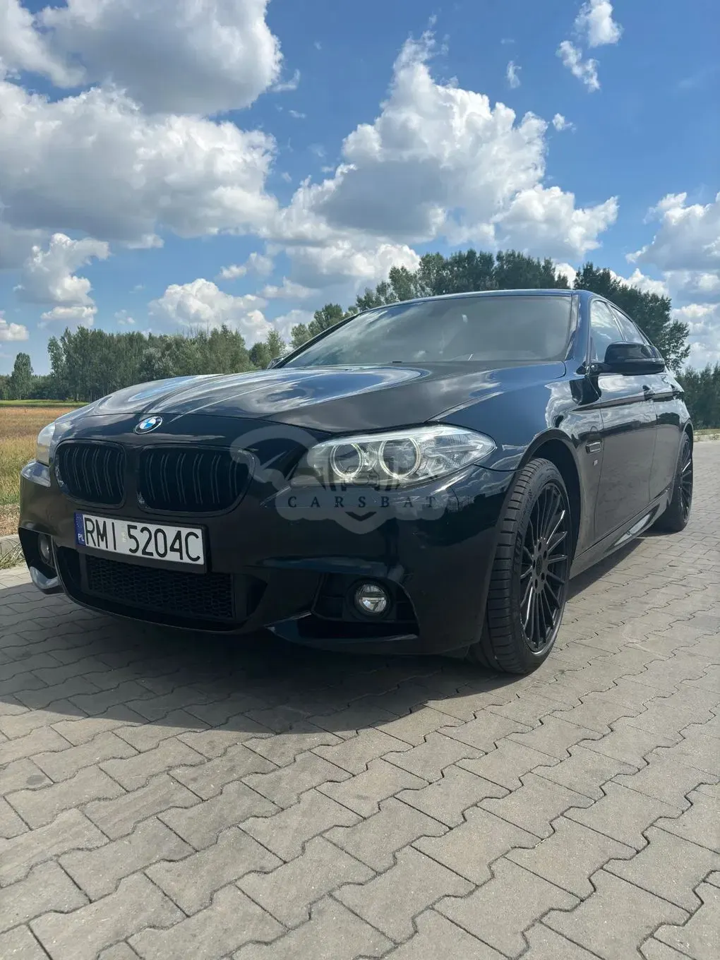 BMW 5 Series F10/F11 (2009-2017) 535d xDrive 2014