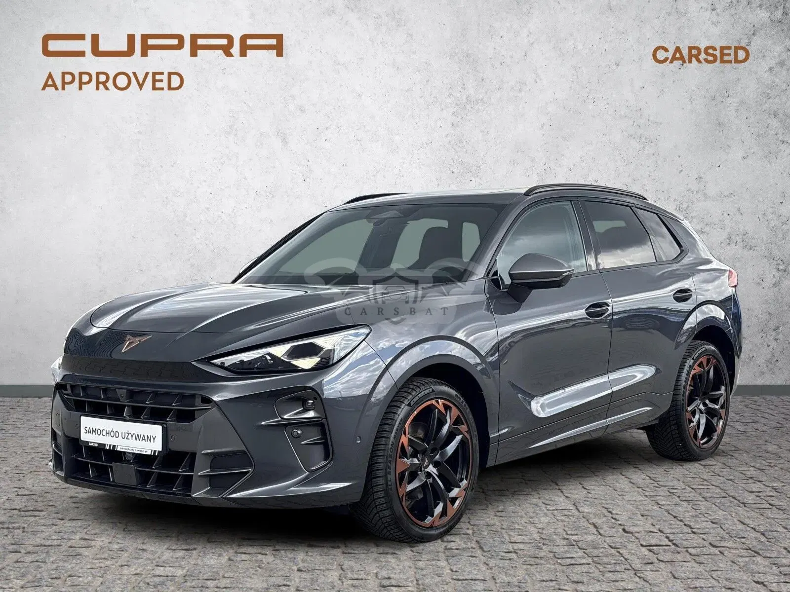 Cupra Terramar 2.0 TSI 4Drive VZ DSG 2025