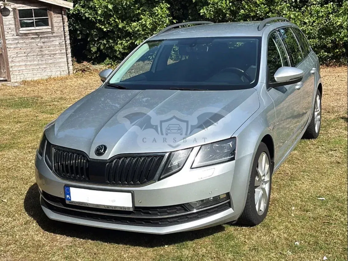 Skoda Octavia III (2013-) 2019