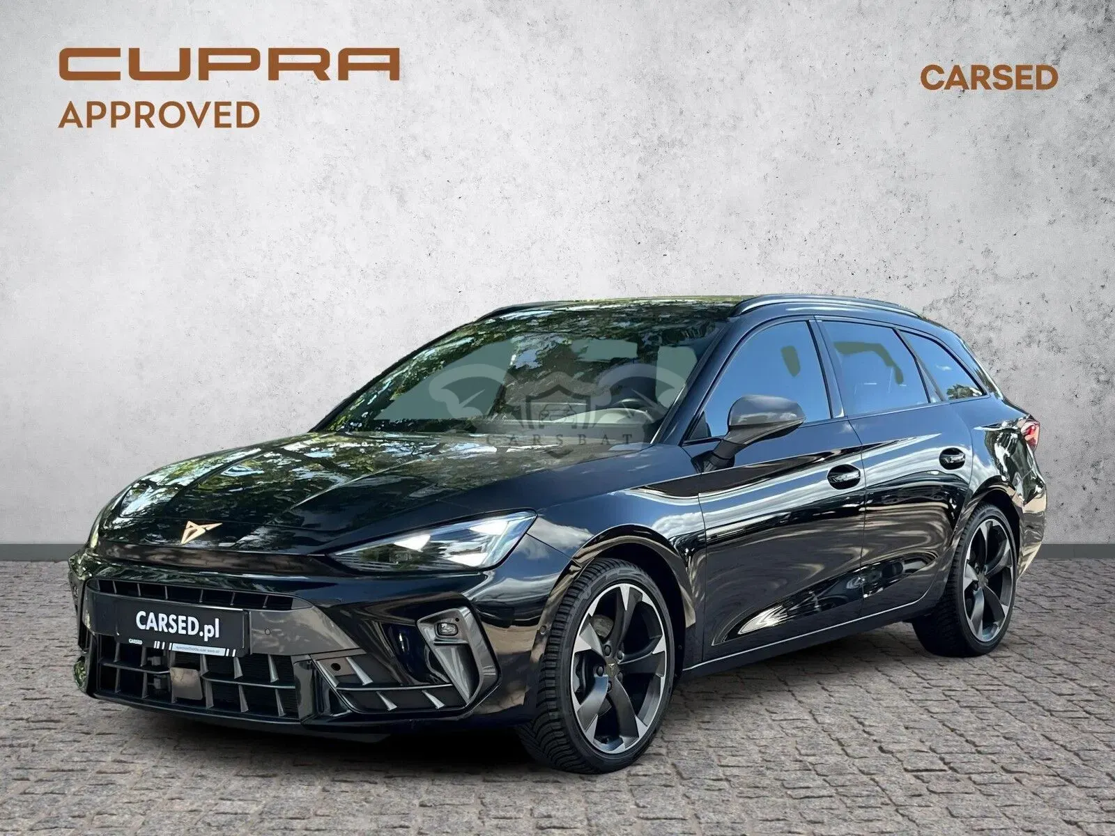 Cupra Leon 2.0 TDI DSG 2025