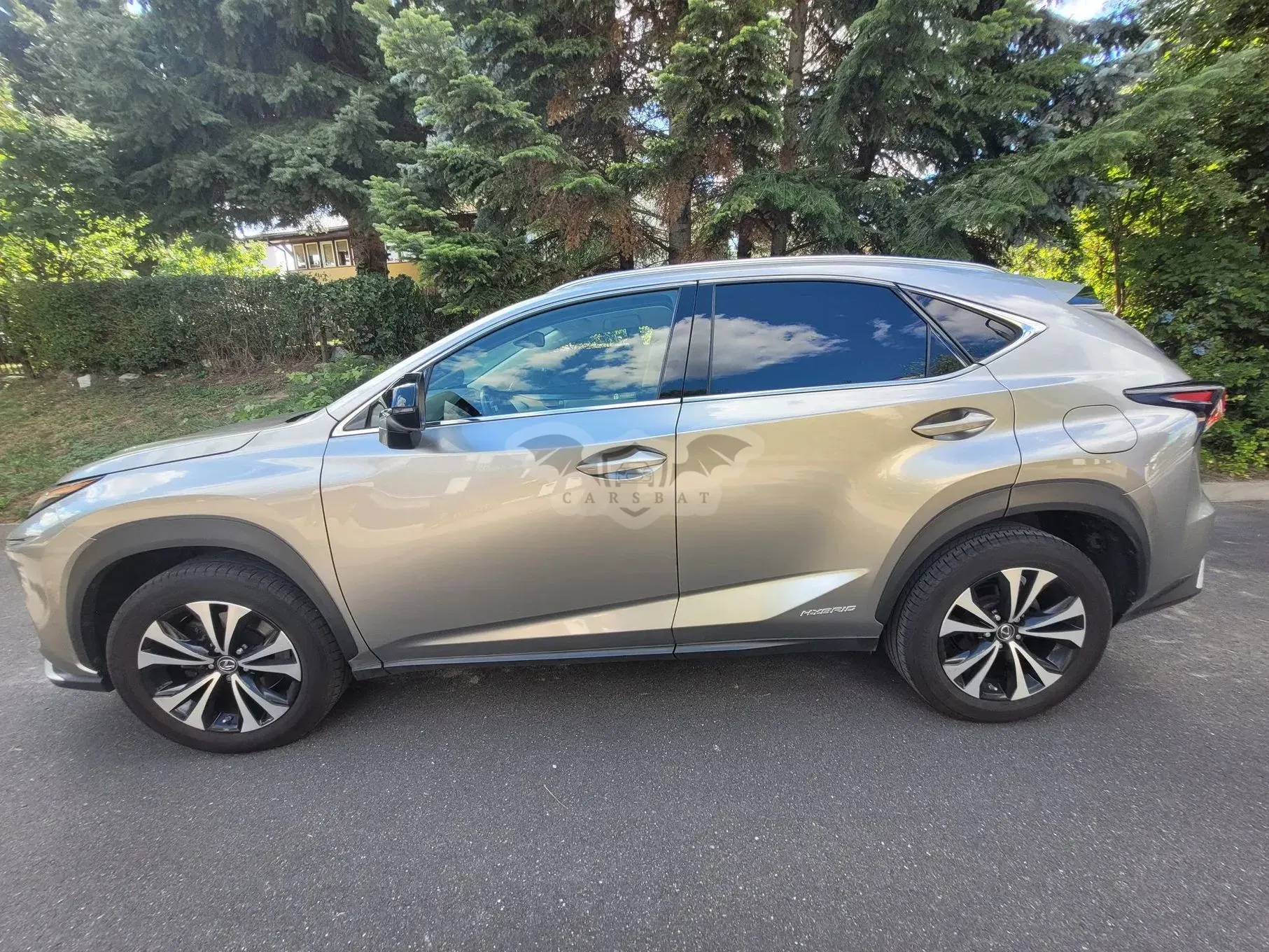 Lexus NX I (2014-2021) 2021