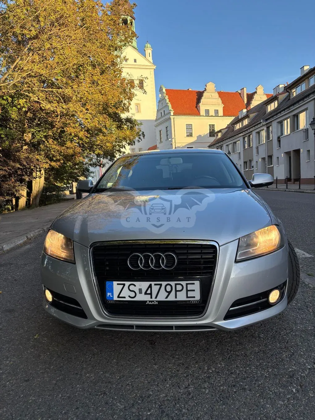 Audi A3 8P (2003-2012) 1.6 TDI 102g DPF 2010