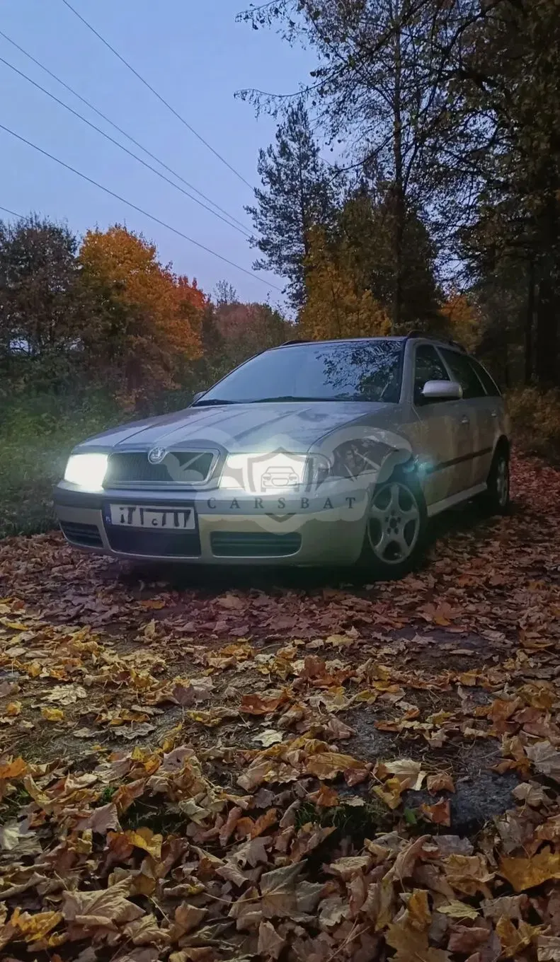 Skoda Octavia I (1996-2011) 1.9 TDI Tour 2006