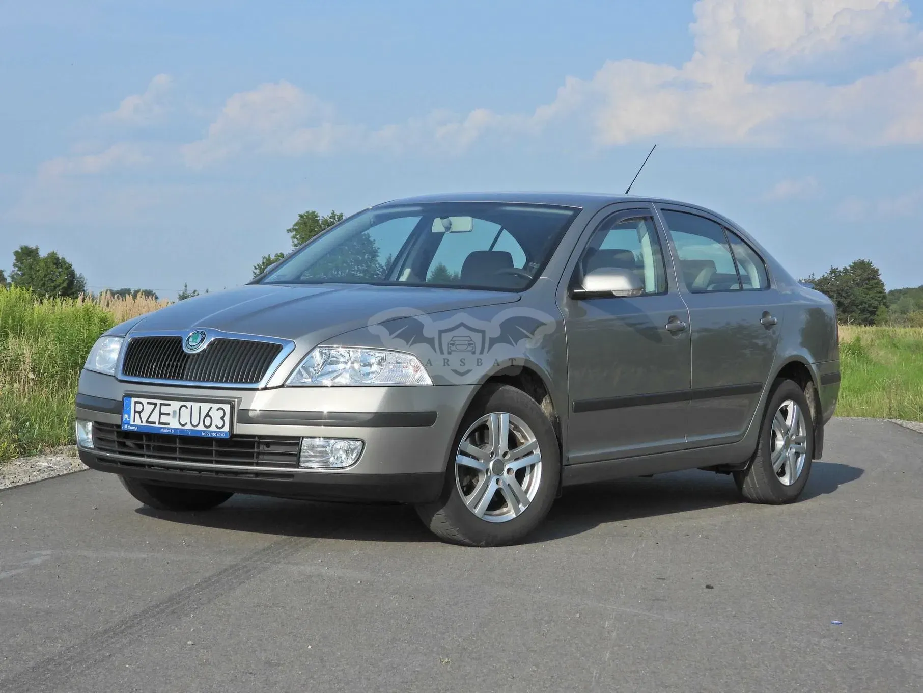 Skoda Octavia II (2004-2013) 1.9 TDI Ambiente 2007