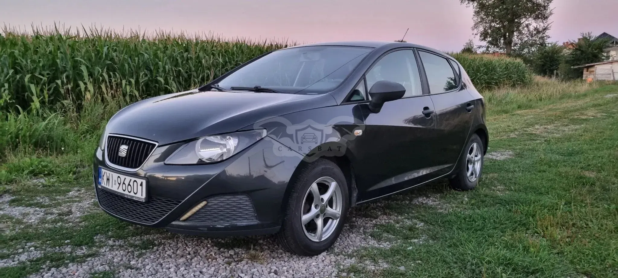 Seat Ibiza IV (2008-2017) 2010