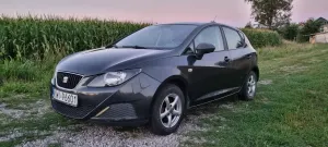 Seat Ibiza IV (2008-2017) 2010