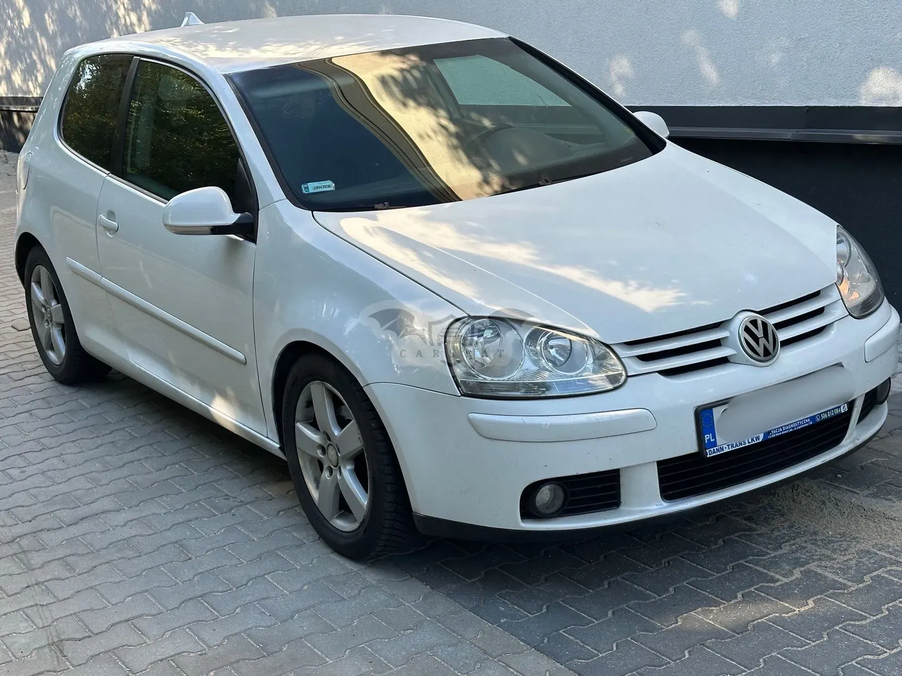 Volkswagen Golf V (2003-2009) 1.9 TDI Goal 2004