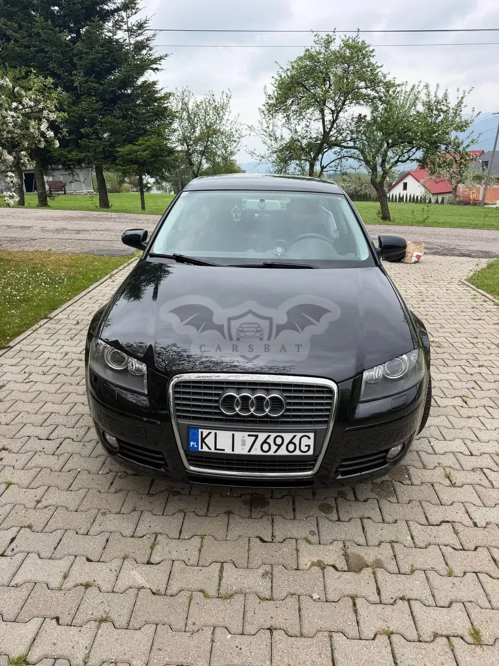 Audi A3 8P (2003-2012) 1.9 TDI DPF e 2007