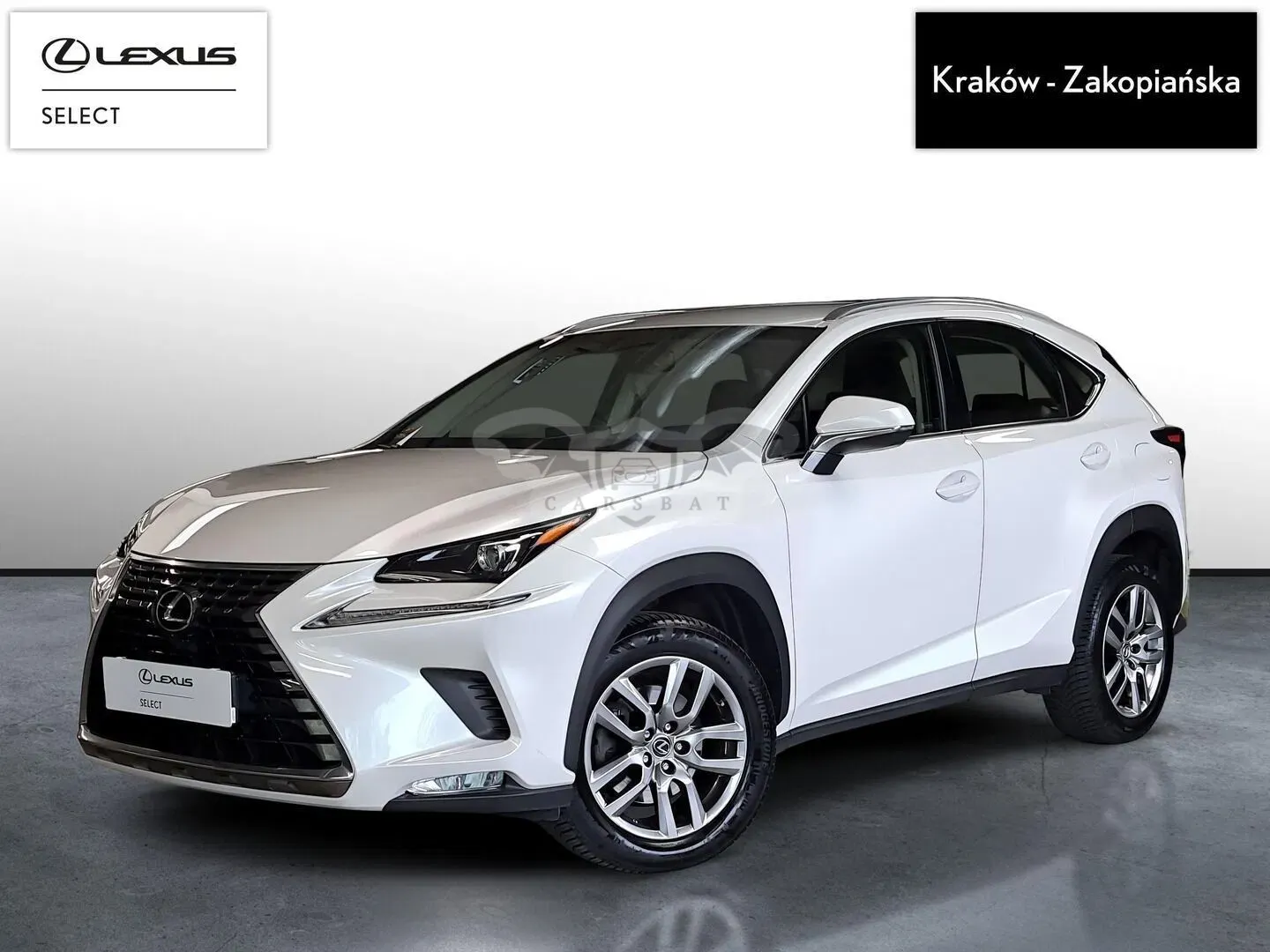 Lexus NX I (2014-2021) 300 Elegance Optimum AWD 2018