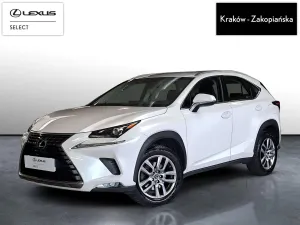Lexus NX I (2014-2021) 300 Elegance Optimum AWD 2018