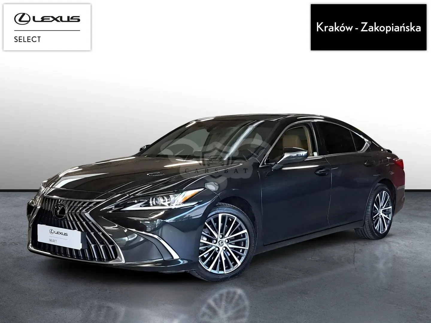 Lexus ES 300h Business Edition 2023