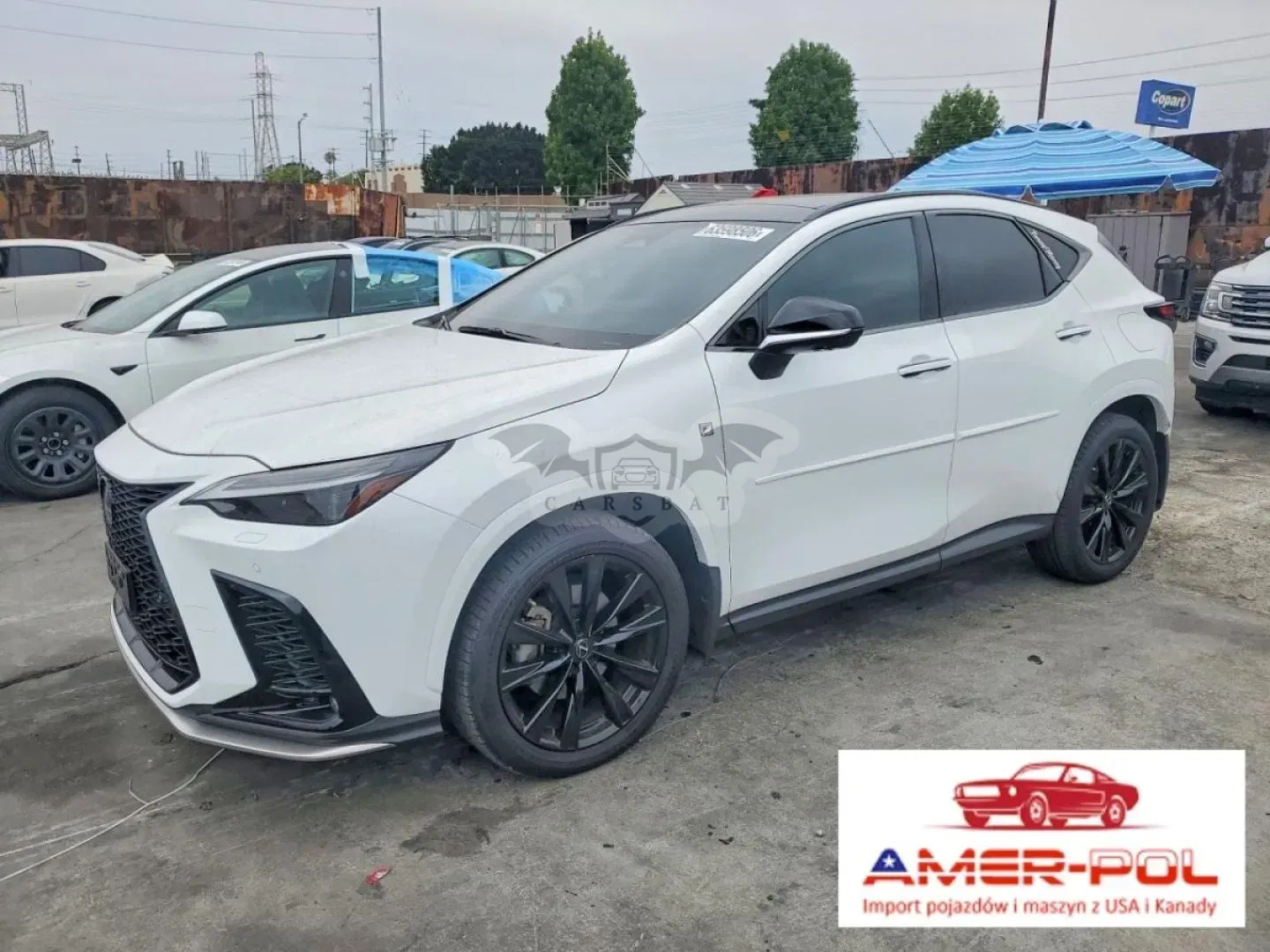 Lexus NX II (2021-) 2022