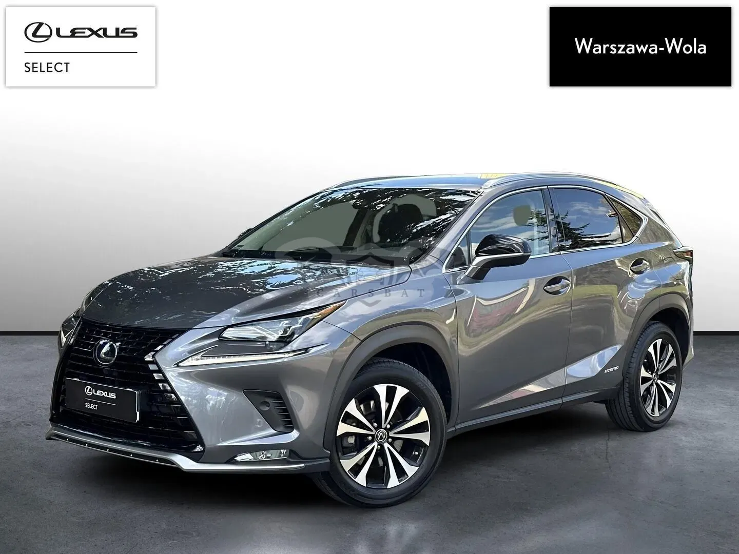 Lexus NX I (2014-2021) 300h F Impression AWD 2021