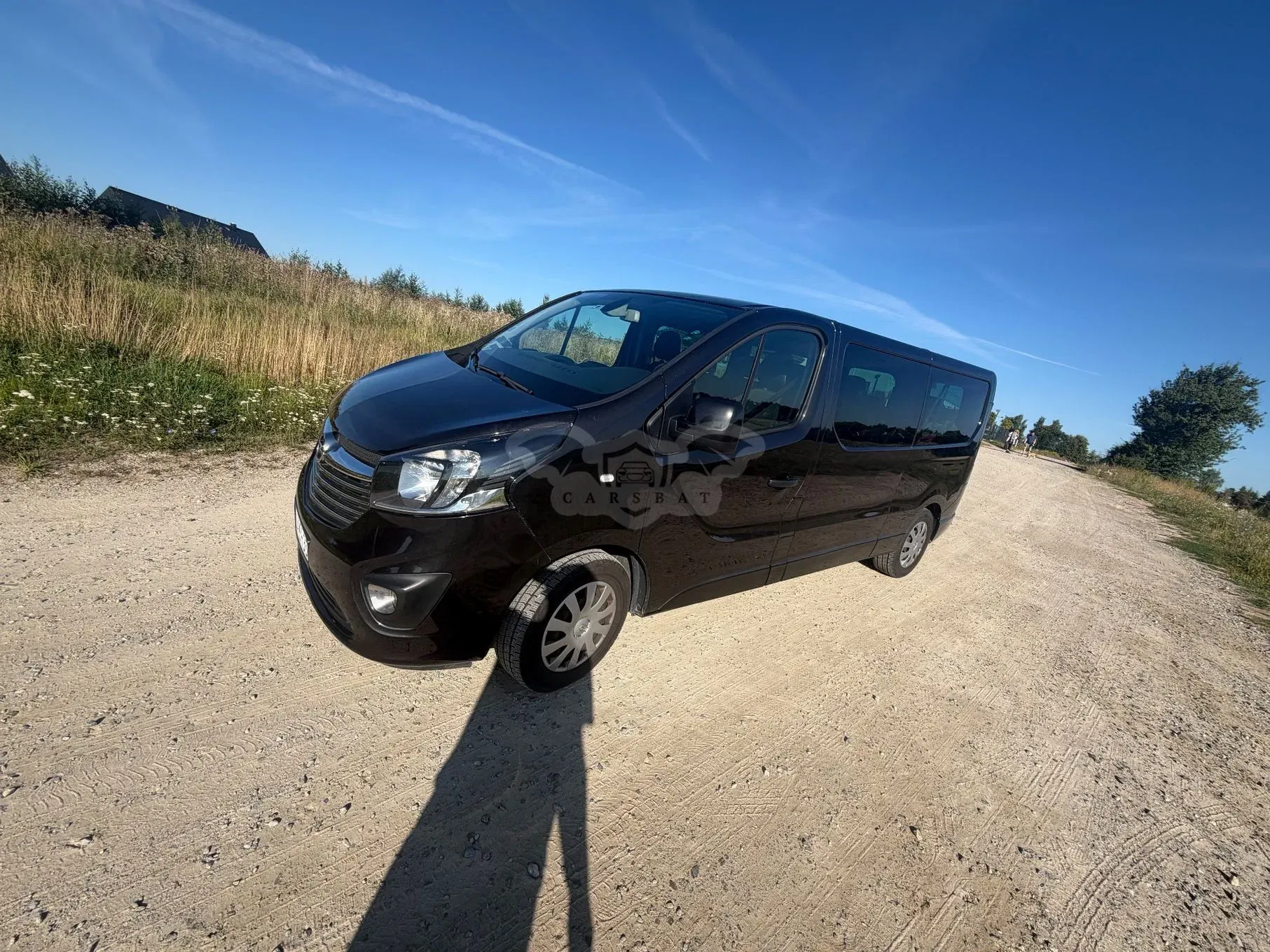 Opel Vivaro II (2014-2019) L2H1 2.9t Elegance 2017
