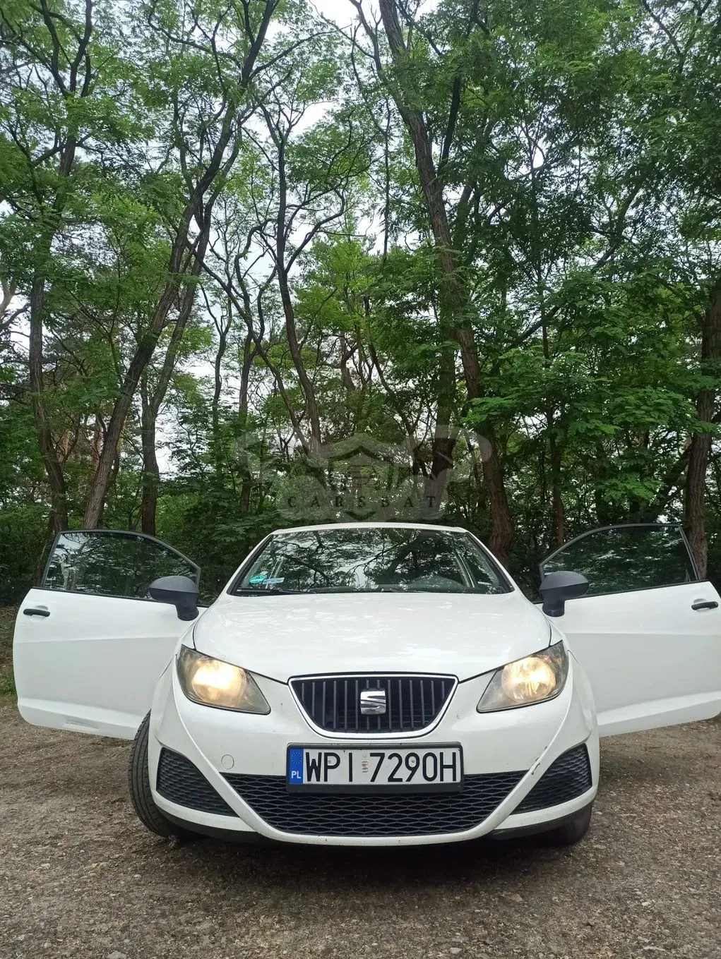 Seat Ibiza IV (2008-2017) 2009