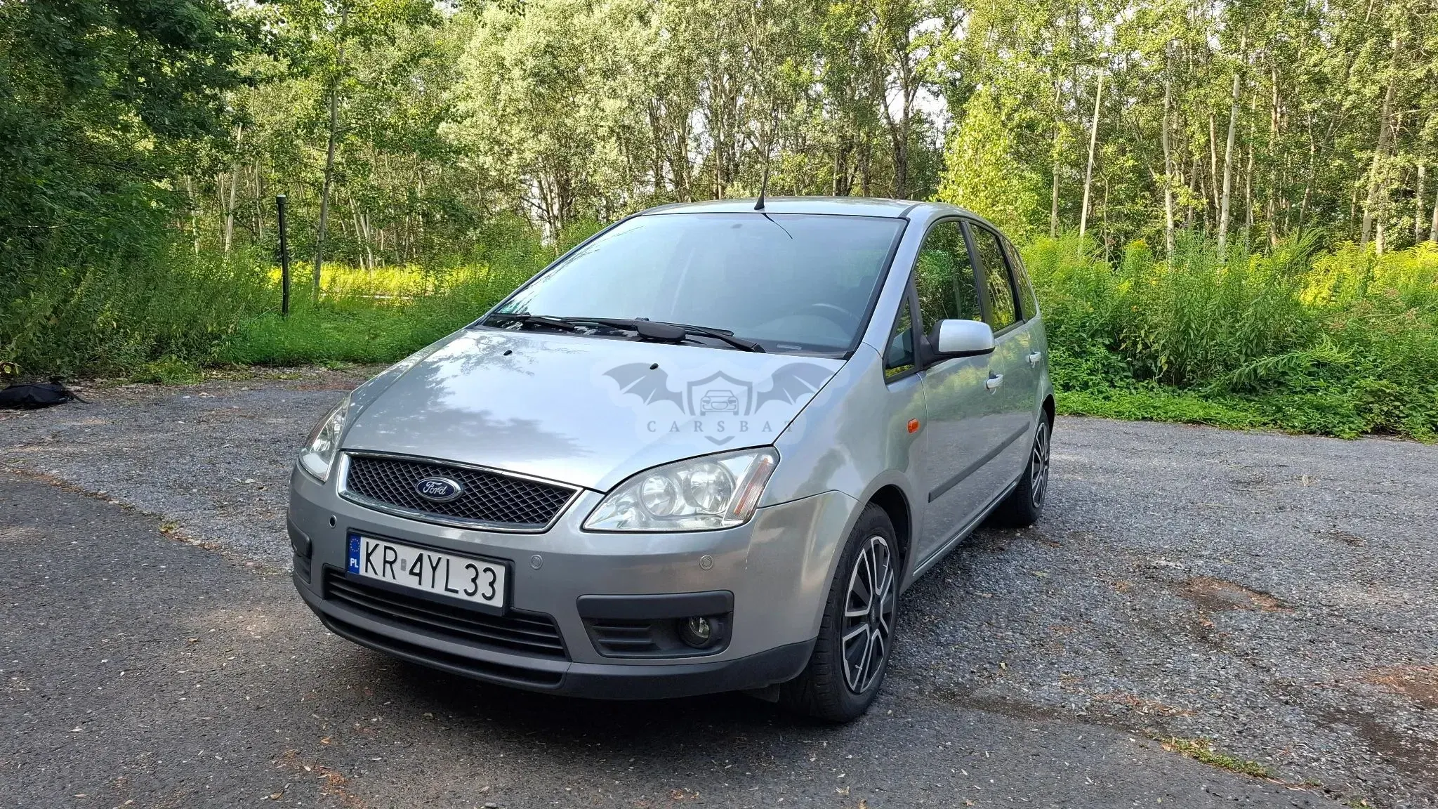 Ford C-Max 1.8 Ambiente 2004