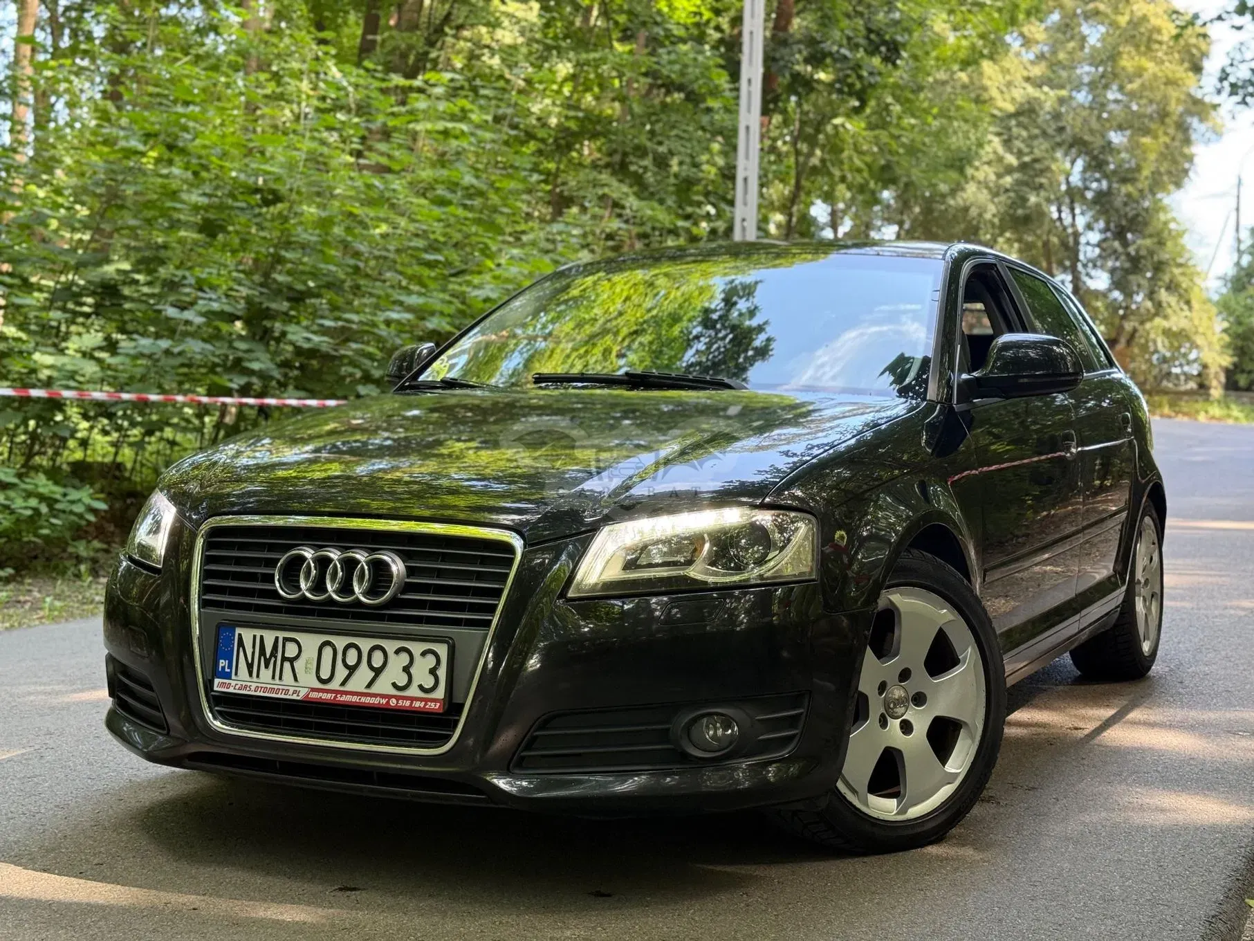 Audi A3 8P (2003-2012) 2.0 TDI DPF Attraction 2008