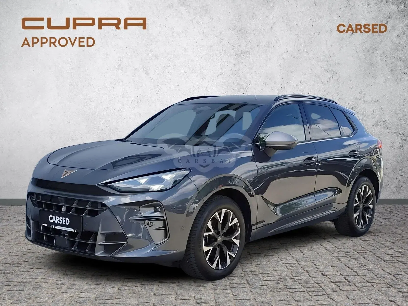 Cupra Terramar 1.5 eTSI mHEV DSG 2025