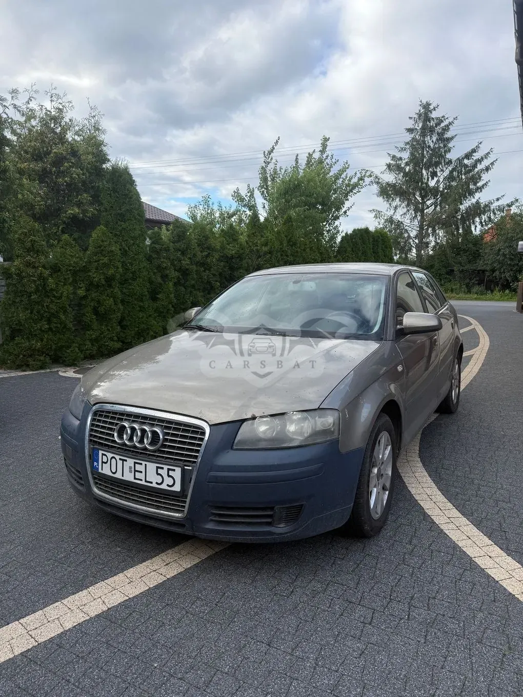 Audi A3 8P (2003-2012) 2.0 TDI Attraction 2005
