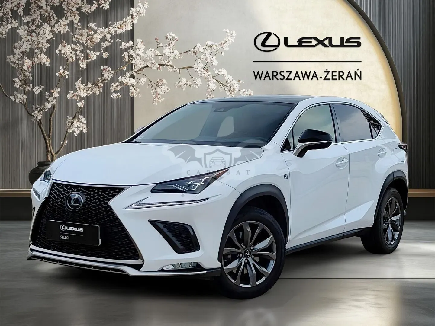 Lexus NX I (2014-2021) 300 GPF F Sport AWD 2019